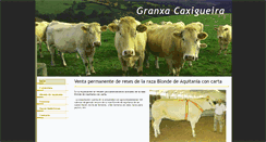 Desktop Screenshot of granxacaxigueira.com