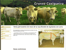 Tablet Screenshot of granxacaxigueira.com